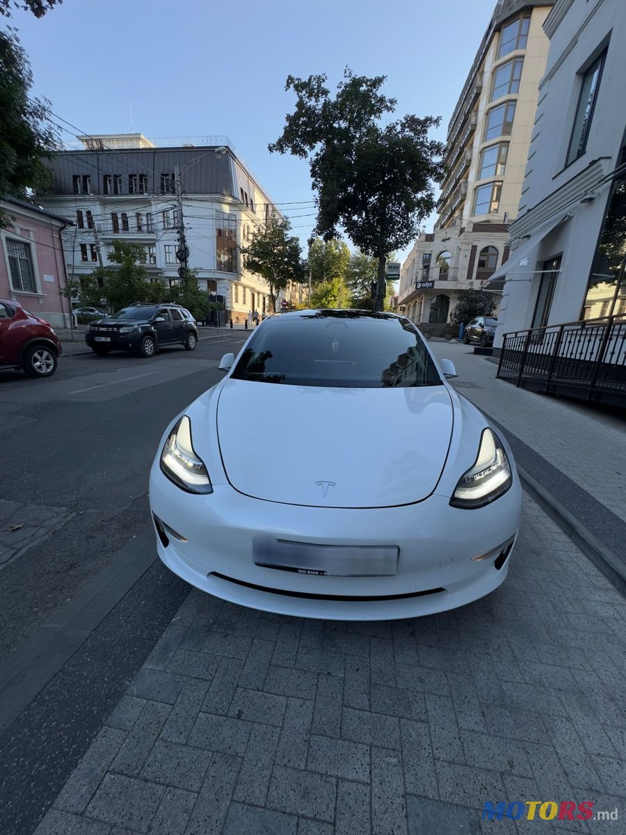 2020' Tesla Model 3 photo #1