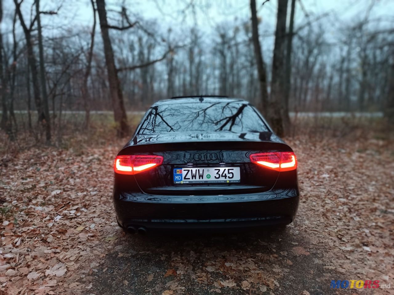 2013' Audi A4 photo #2