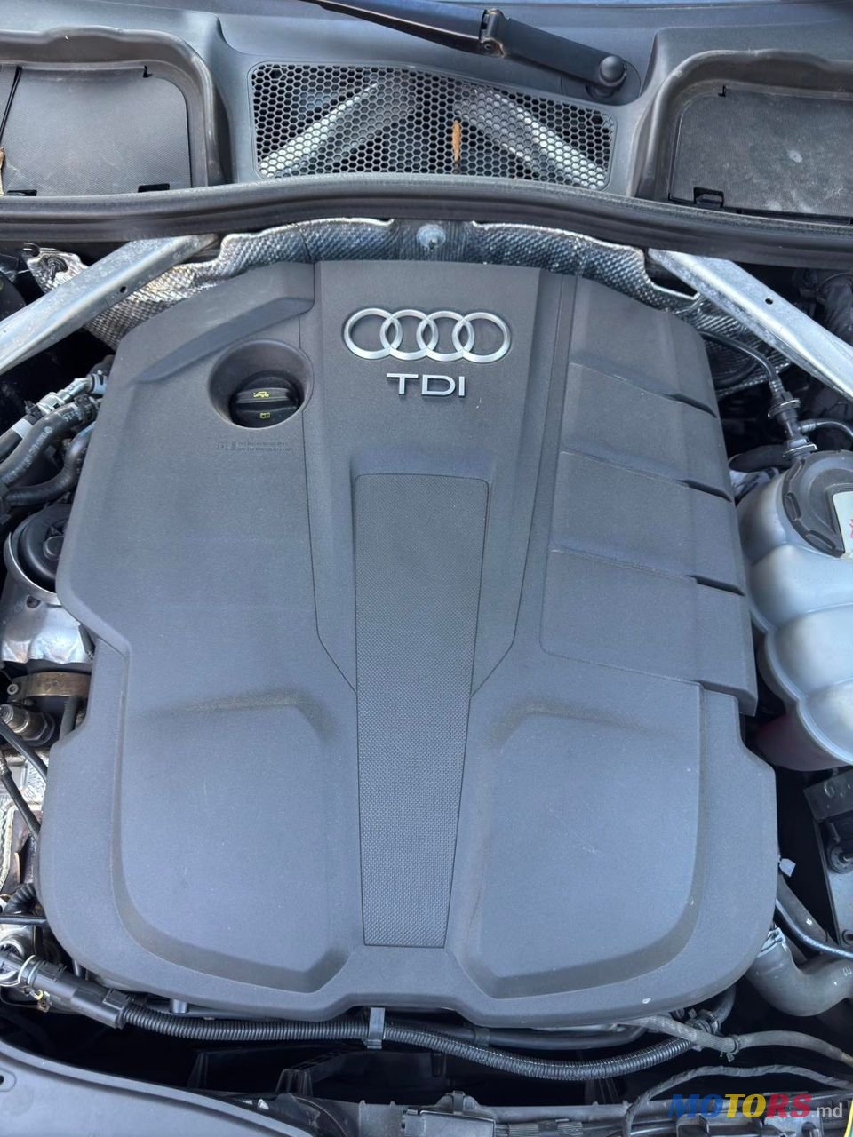 2019' Audi A5 photo #6