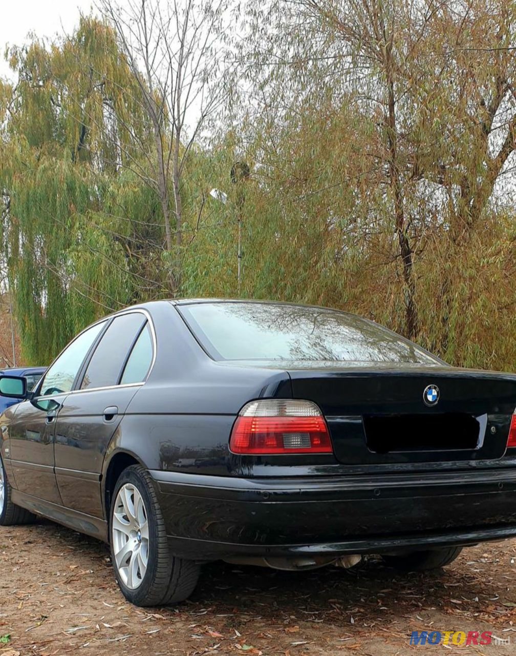 2002' BMW 5 Series photo #2