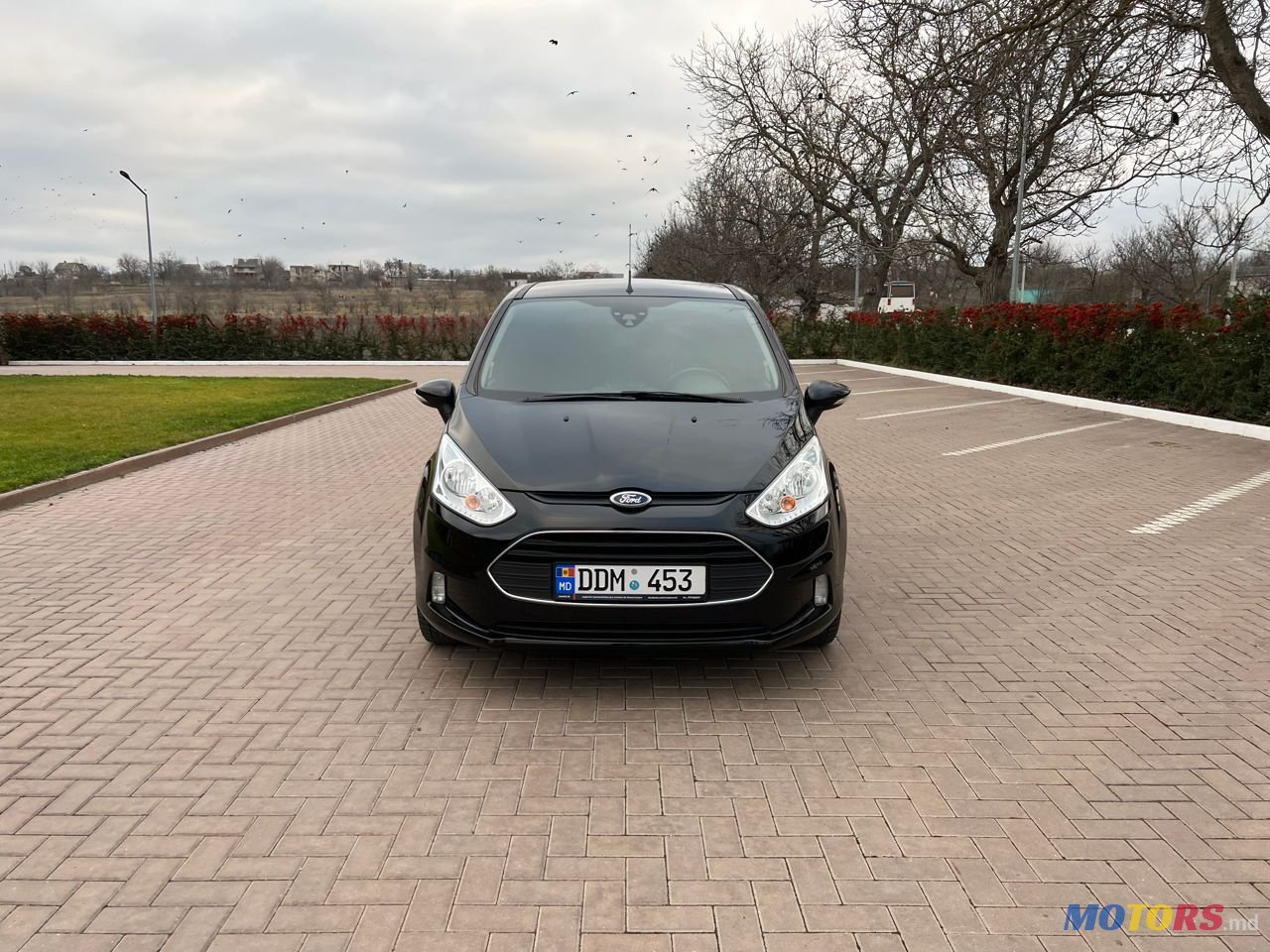 2013' Ford B-MAX photo #5