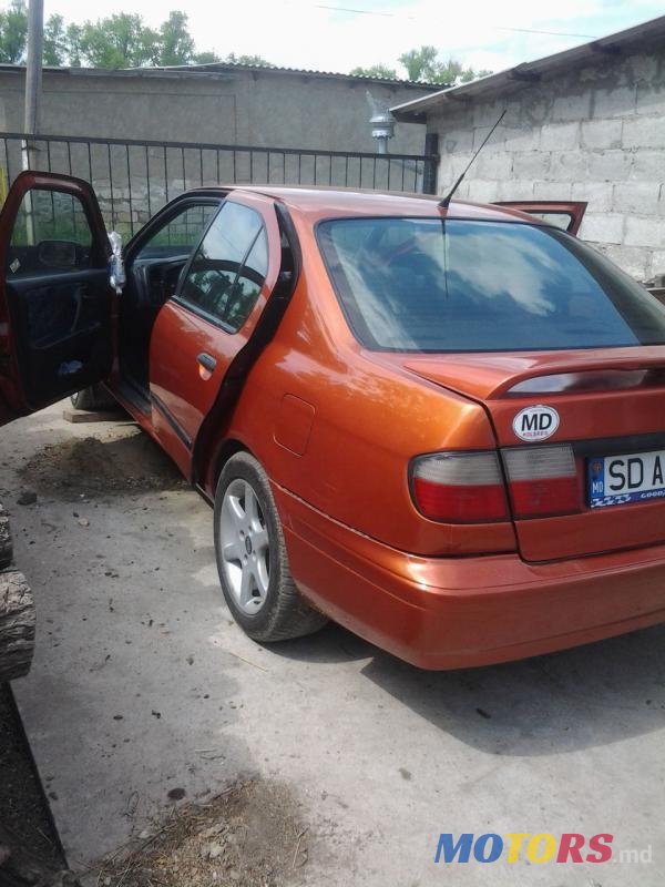 1998' Nissan Primera photo #3