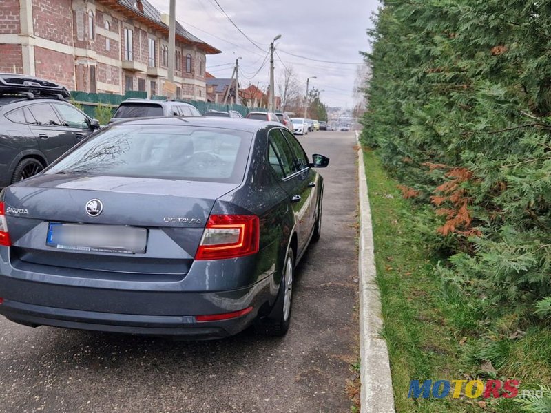 2019' Skoda Octavia photo #5