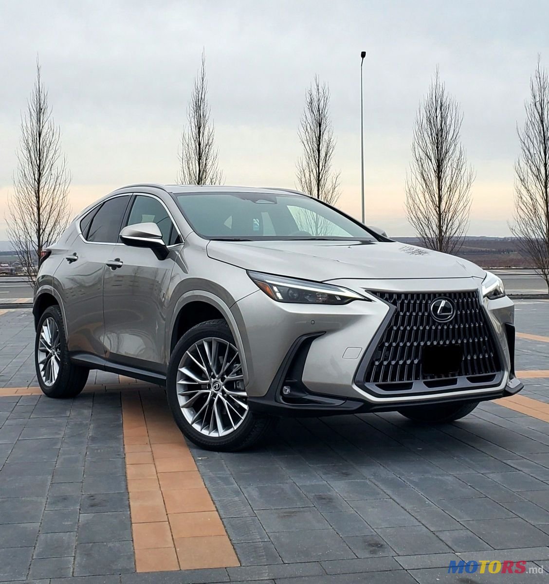 2023' Lexus Nx Series photo #1