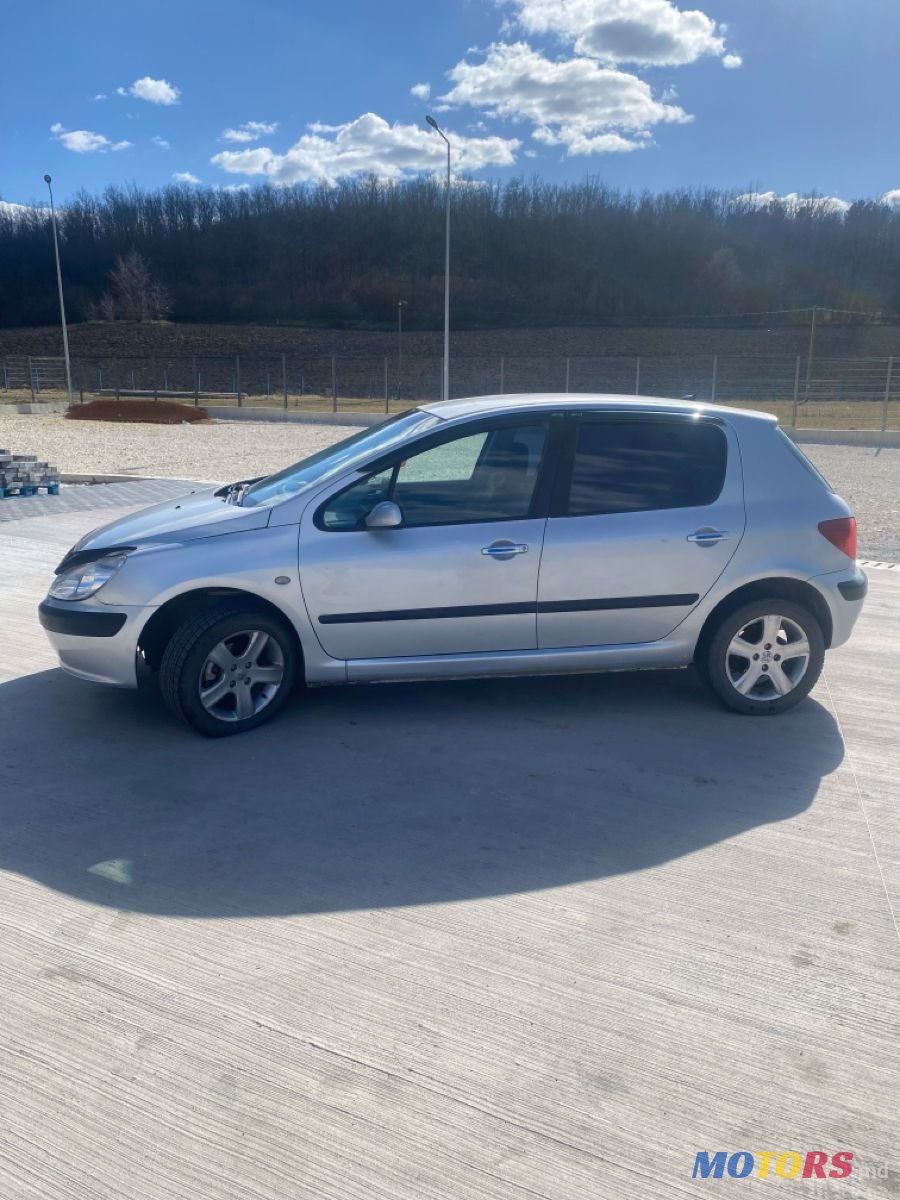 2002' Peugeot 307 photo #5