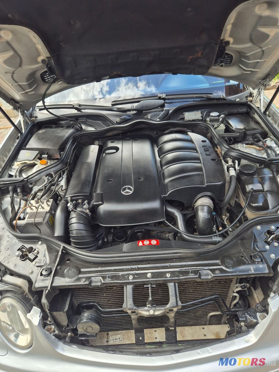 2004' Mercedes-Benz E-Class photo #1