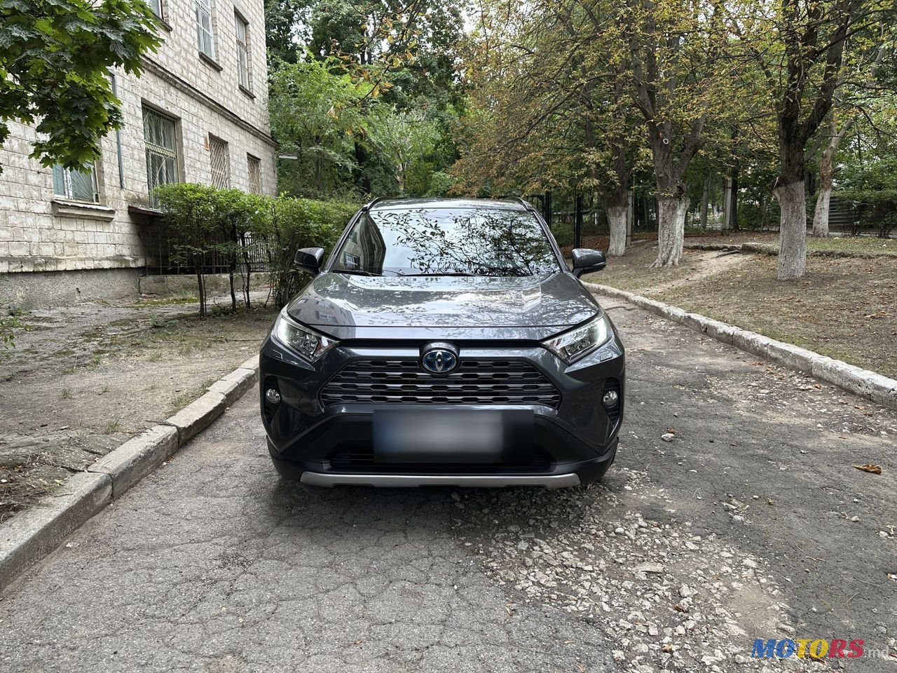 2019' Toyota RAV4 photo #2