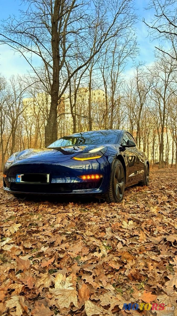 2020' Tesla Model 3 photo #3