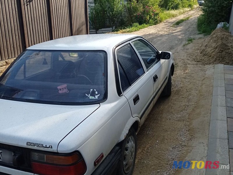 1988' Toyota Corolla photo #3