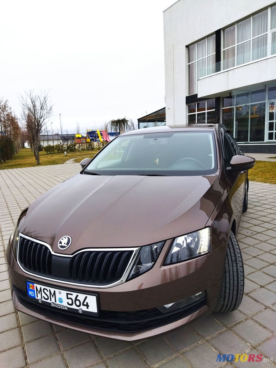 2019' Skoda Octavia photo #6
