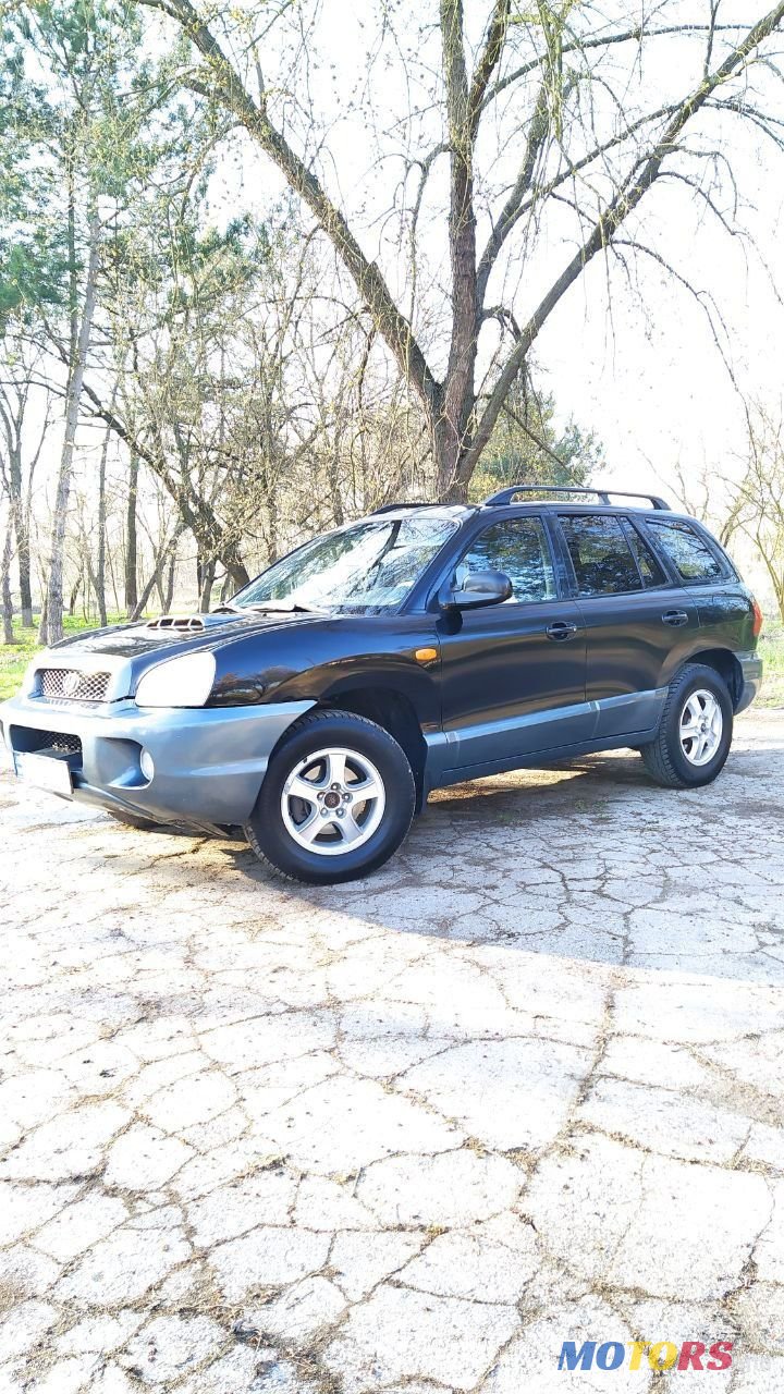 2003' Hyundai Santa Fe photo #4