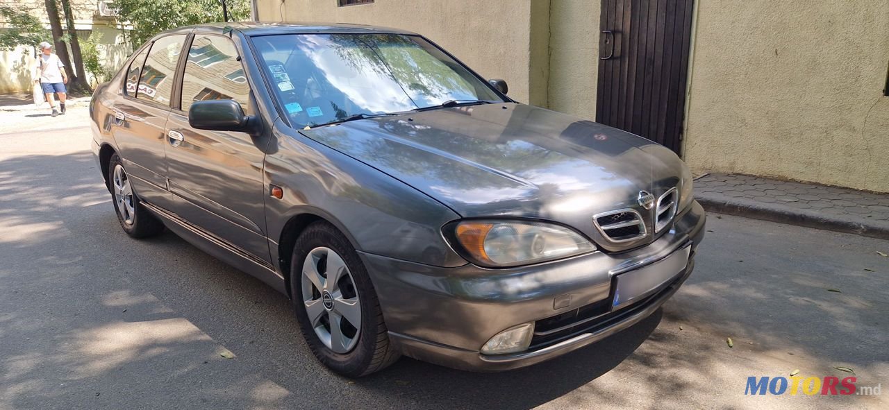 2001' Nissan Primera photo #4