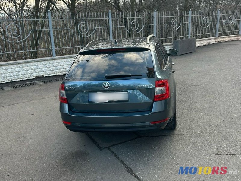 2017' Skoda Octavia photo #4