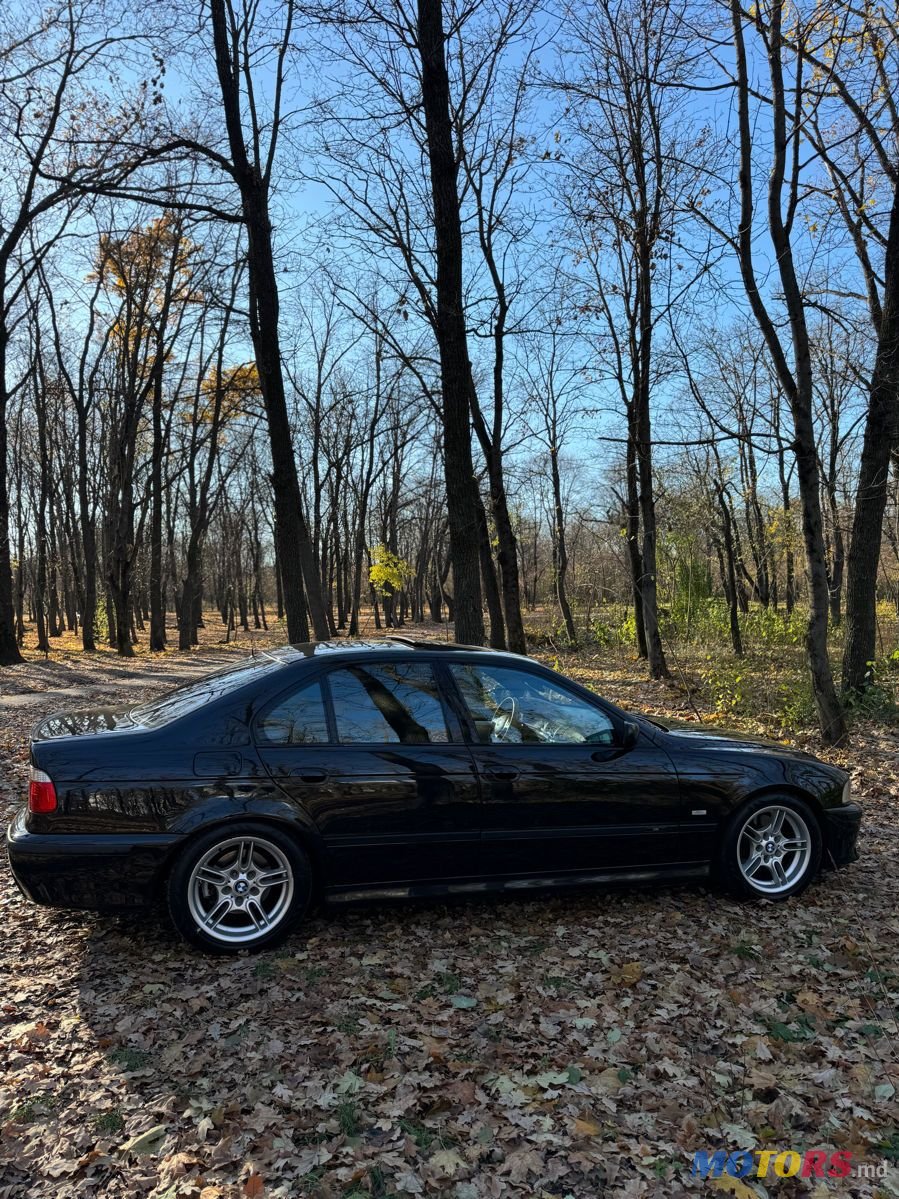 2001' BMW 5 Series photo #4