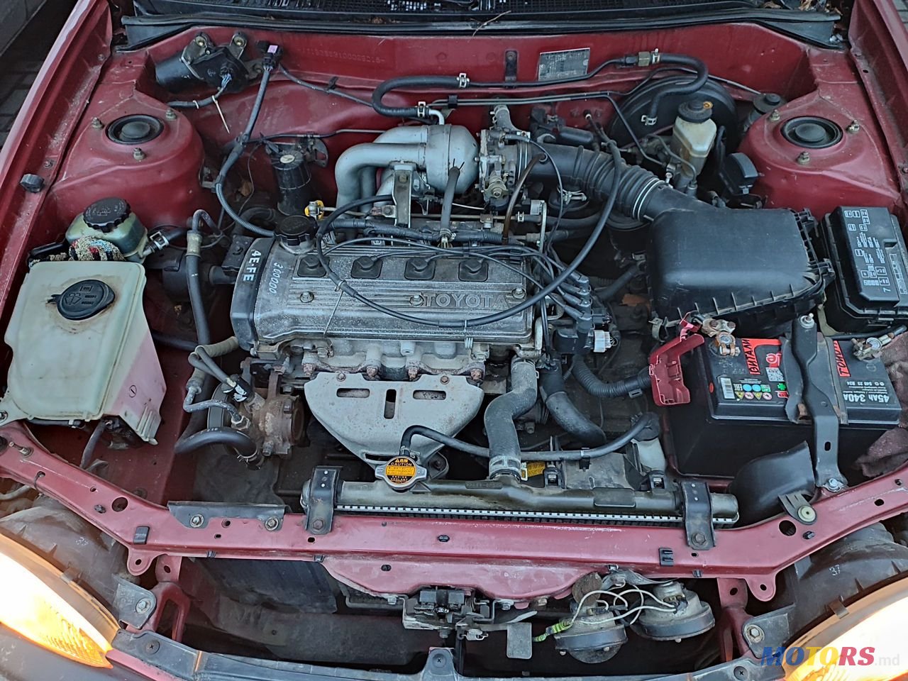 1998' Toyota Corolla photo #4