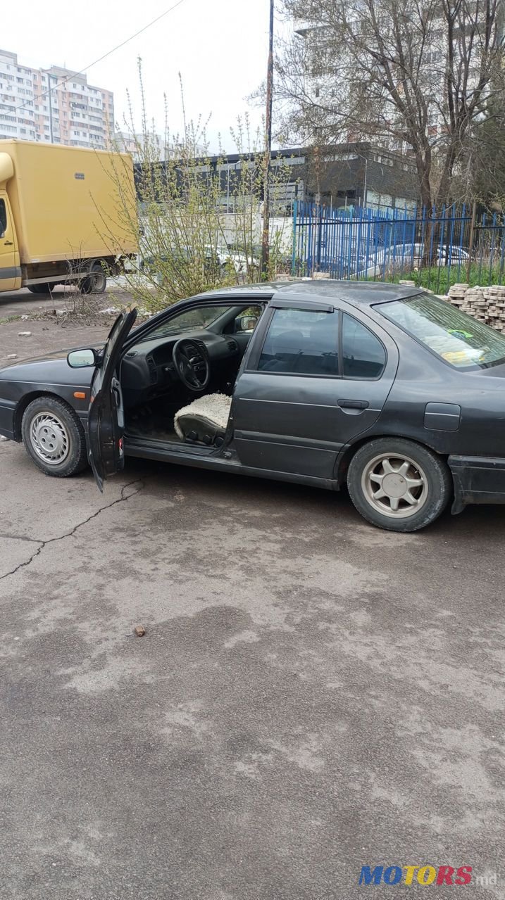 1992' Nissan Primera photo #1