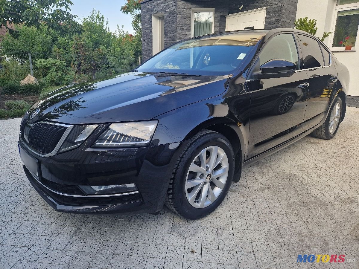 2019' Skoda Octavia photo #5