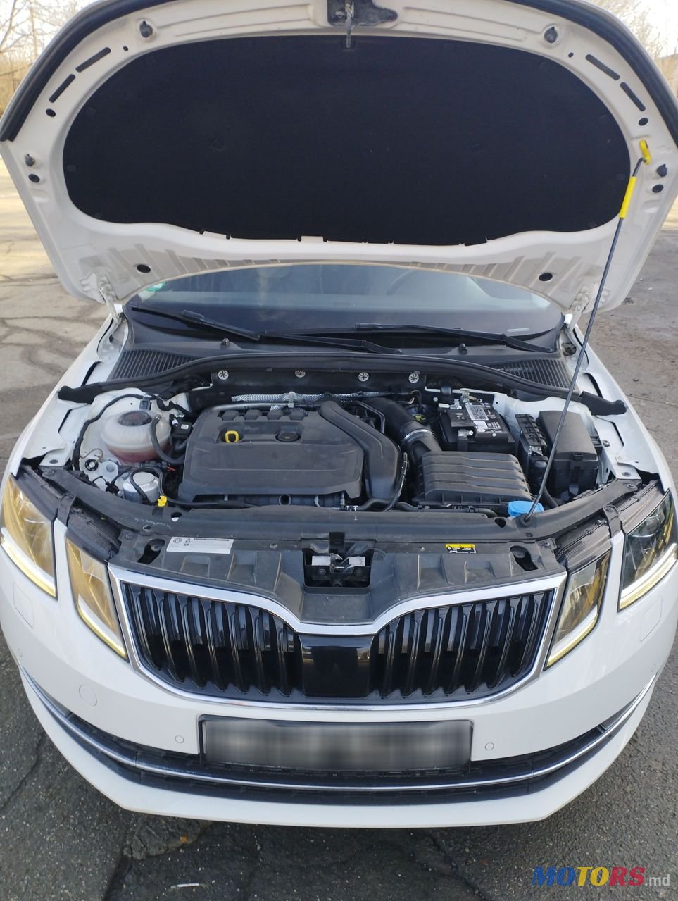 2019' Skoda Octavia photo #4