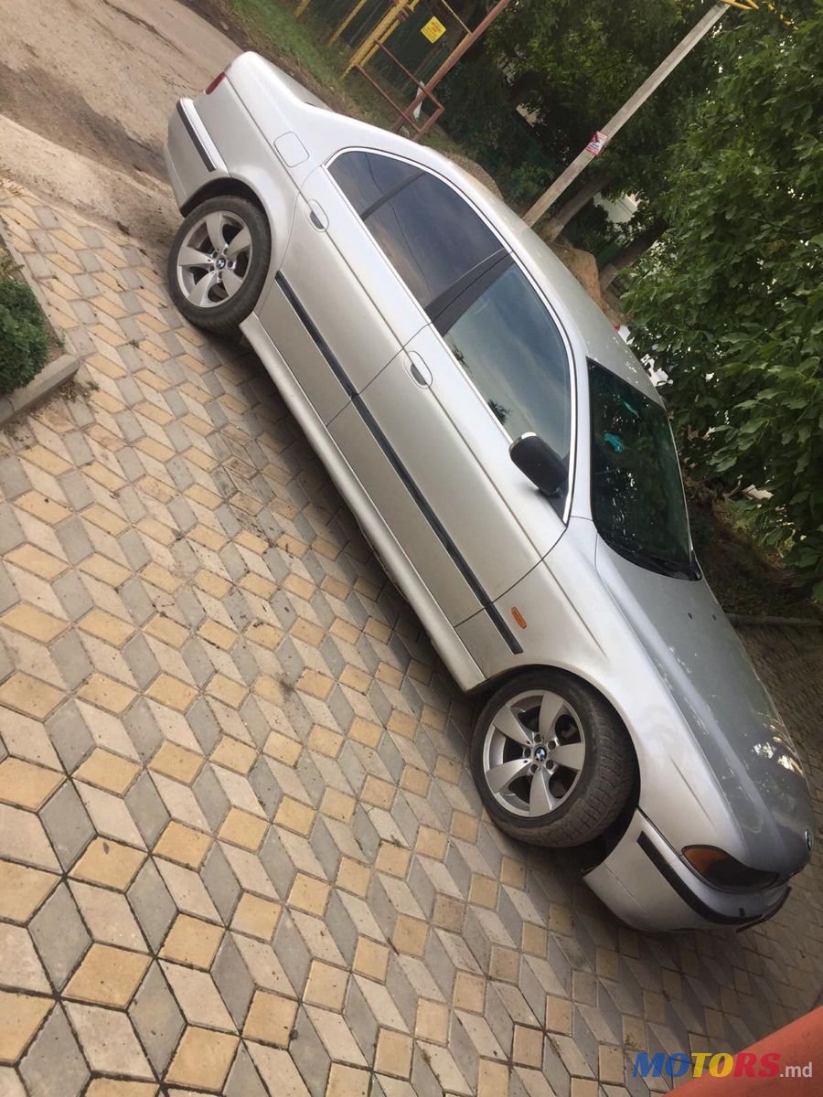 2002' BMW 5 Series photo #4