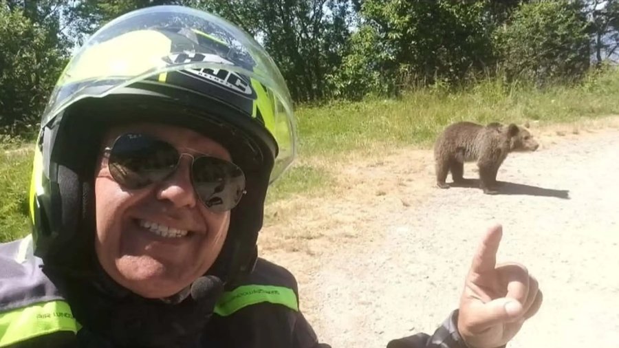 'He Got Off the Motorcycle and Offered the Bear Food': The Bear Then Killed the Rider