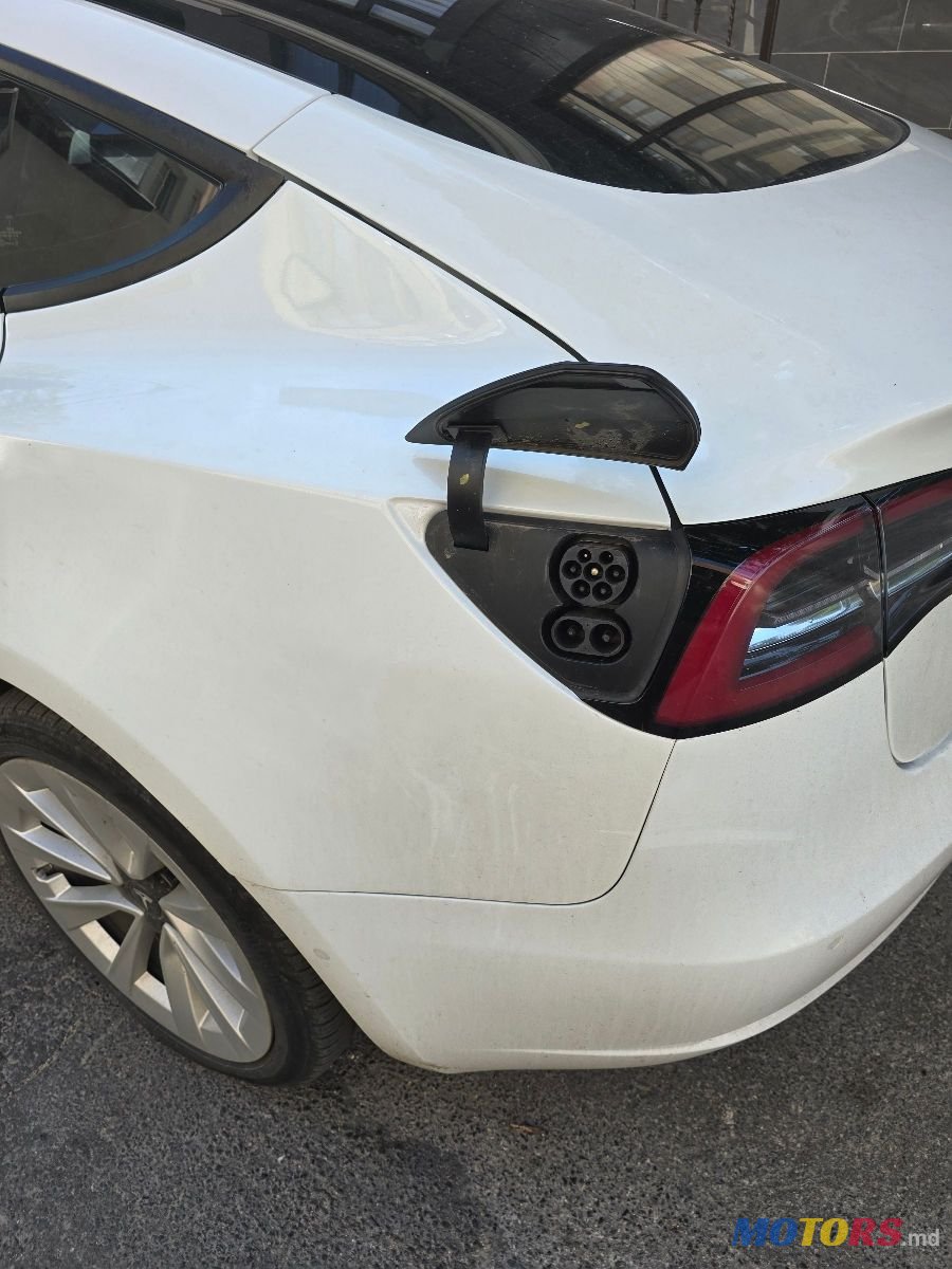 2021' Tesla Model 3 photo #5