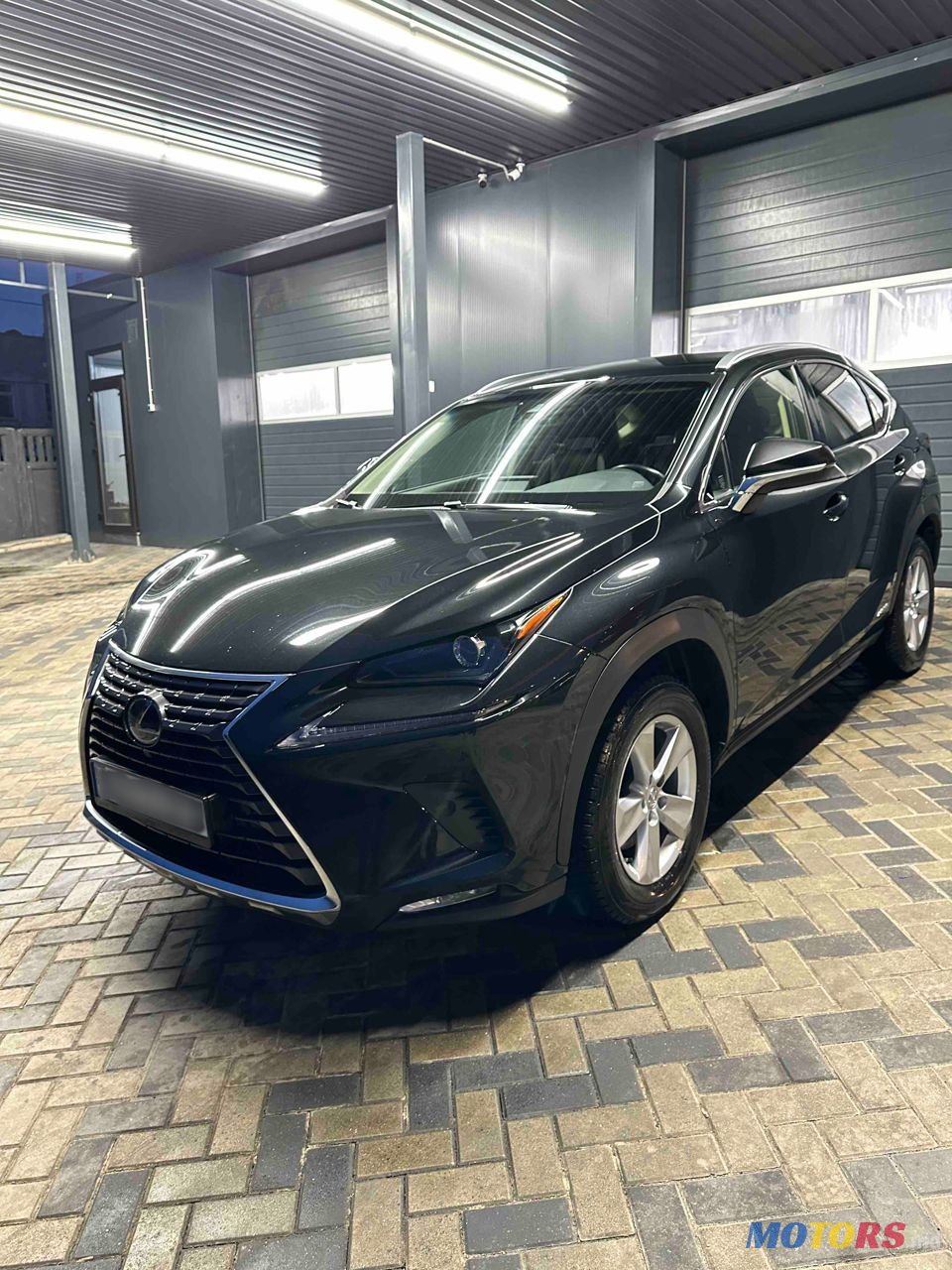 2019' Lexus Nx Series photo #1