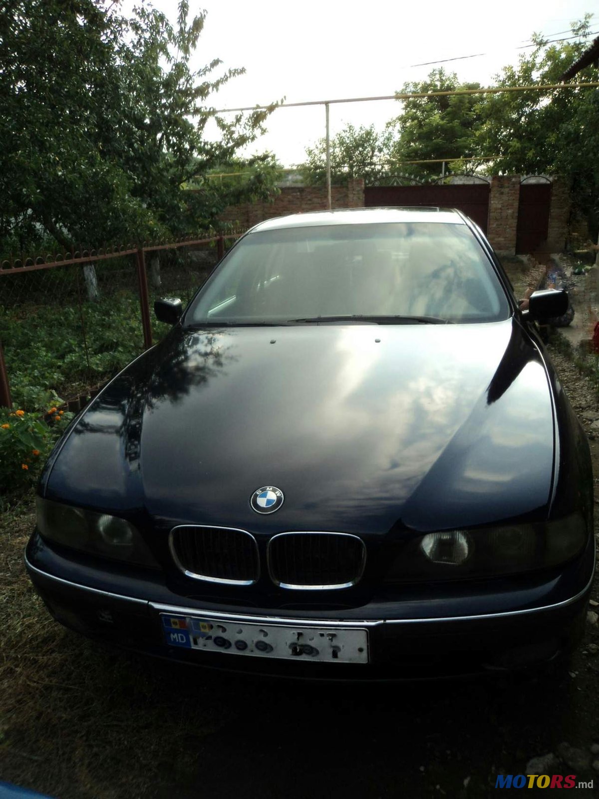 1999' BMW 5 Series photo #2