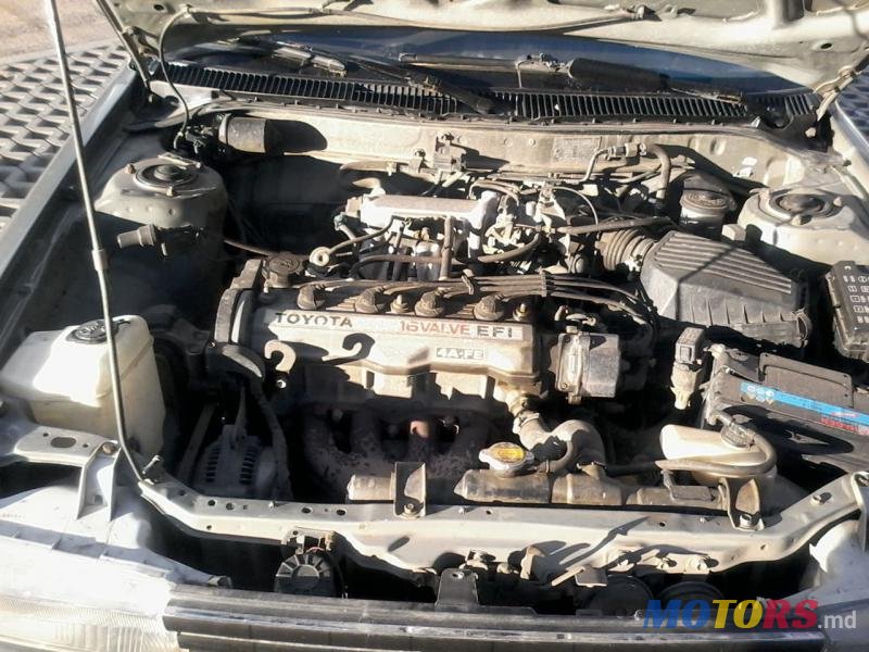 1992' Toyota Corolla photo #4