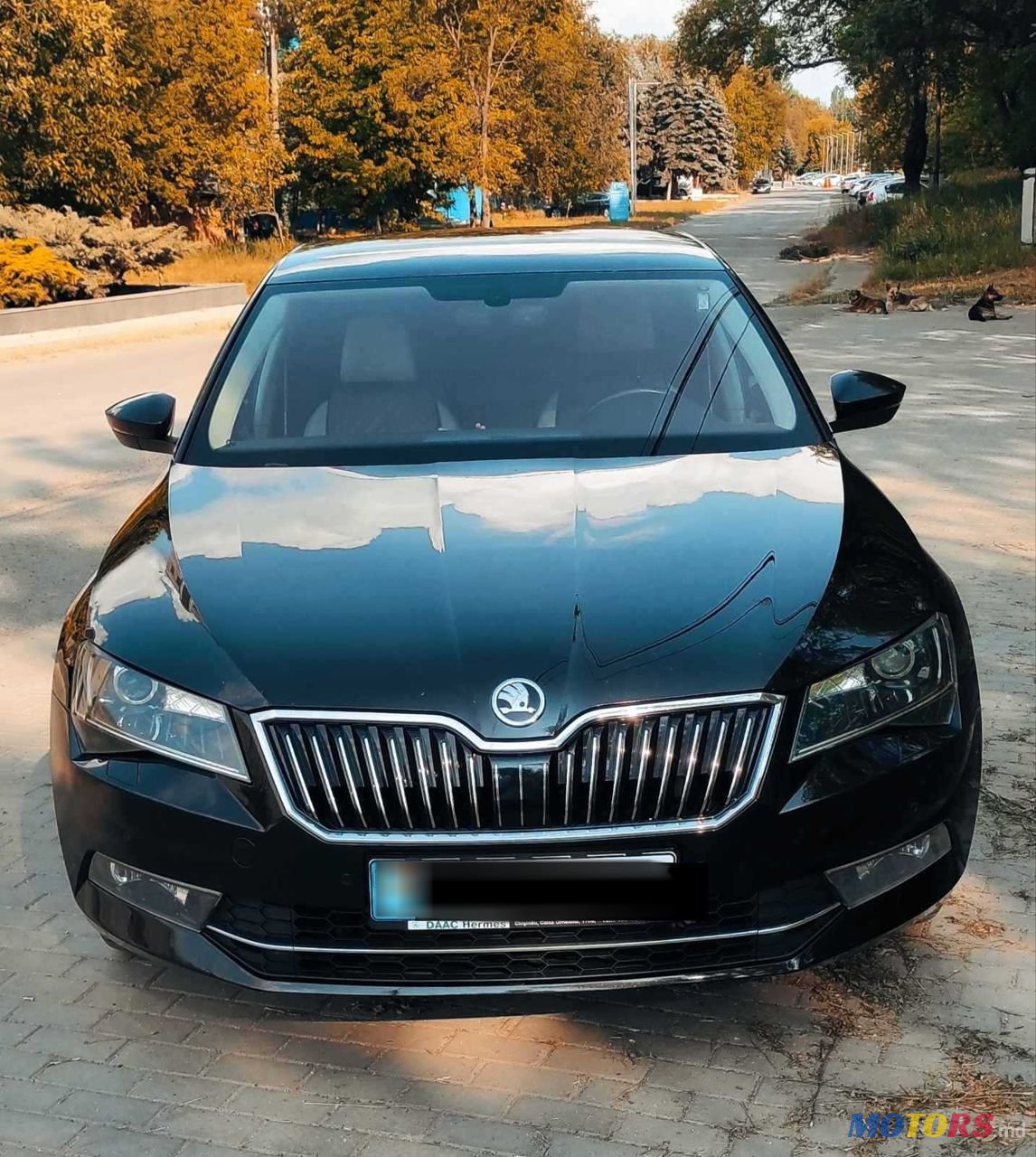 2016' Skoda Superb photo #2