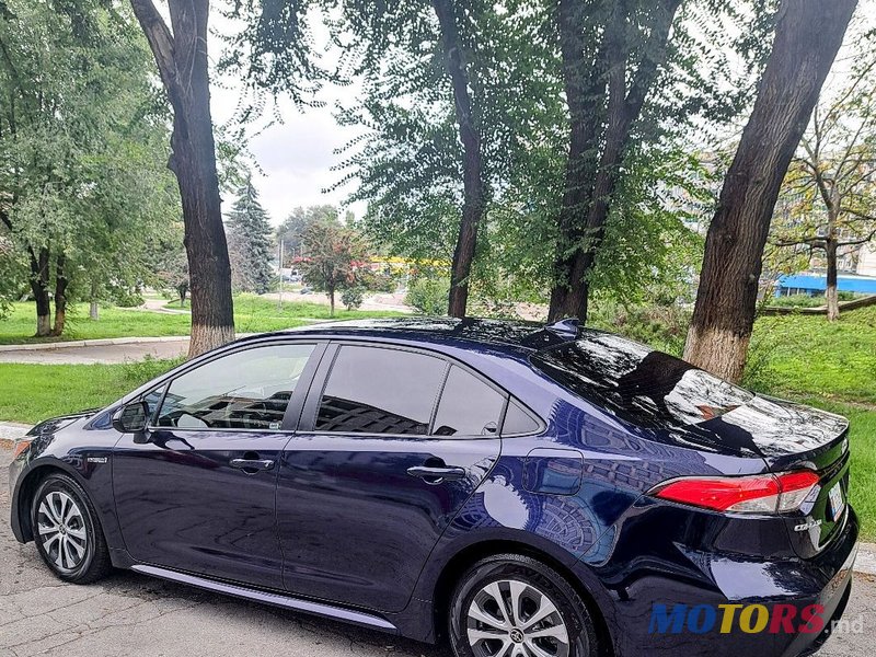 2020' Toyota Corolla photo #4