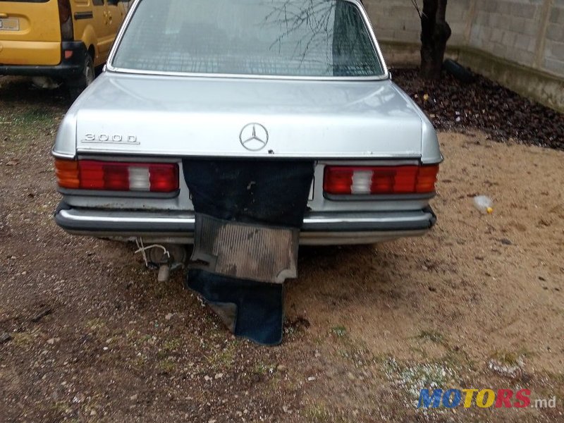 1981' Mercedes-Benz W123 photo #2