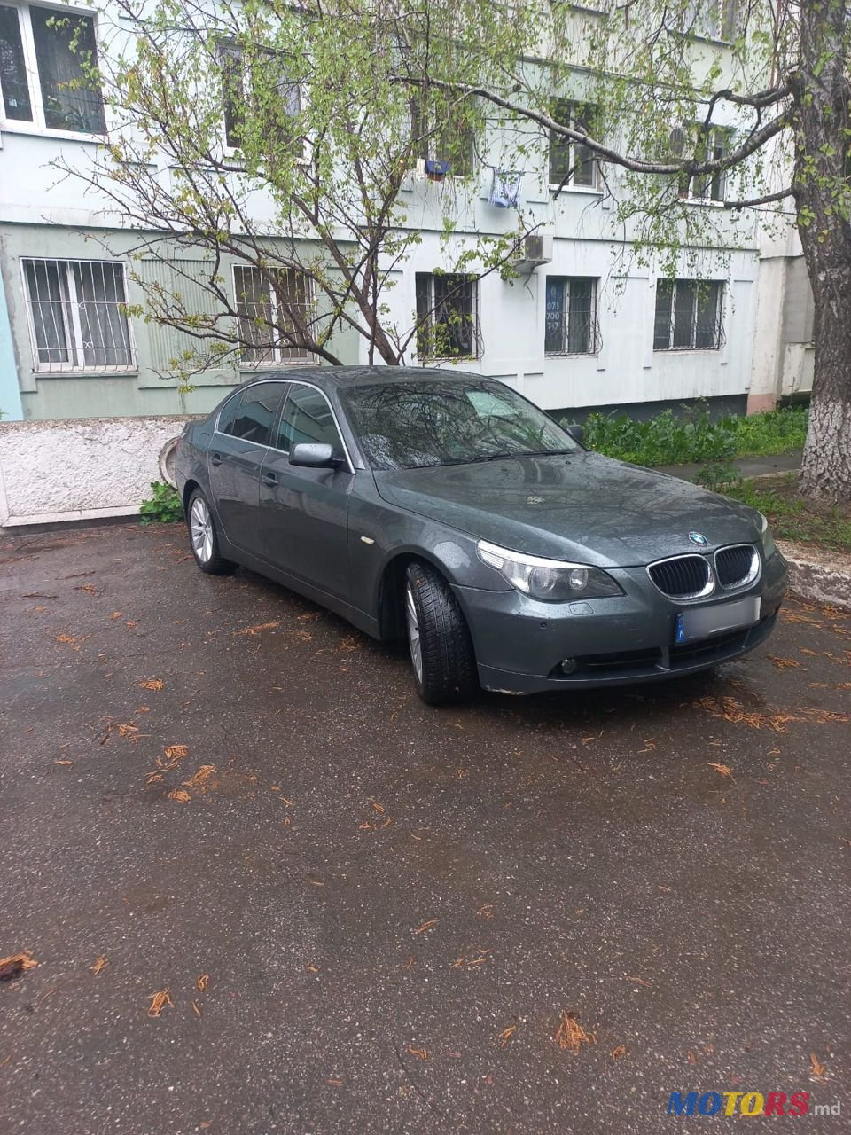 2004' BMW 5 Series photo #2