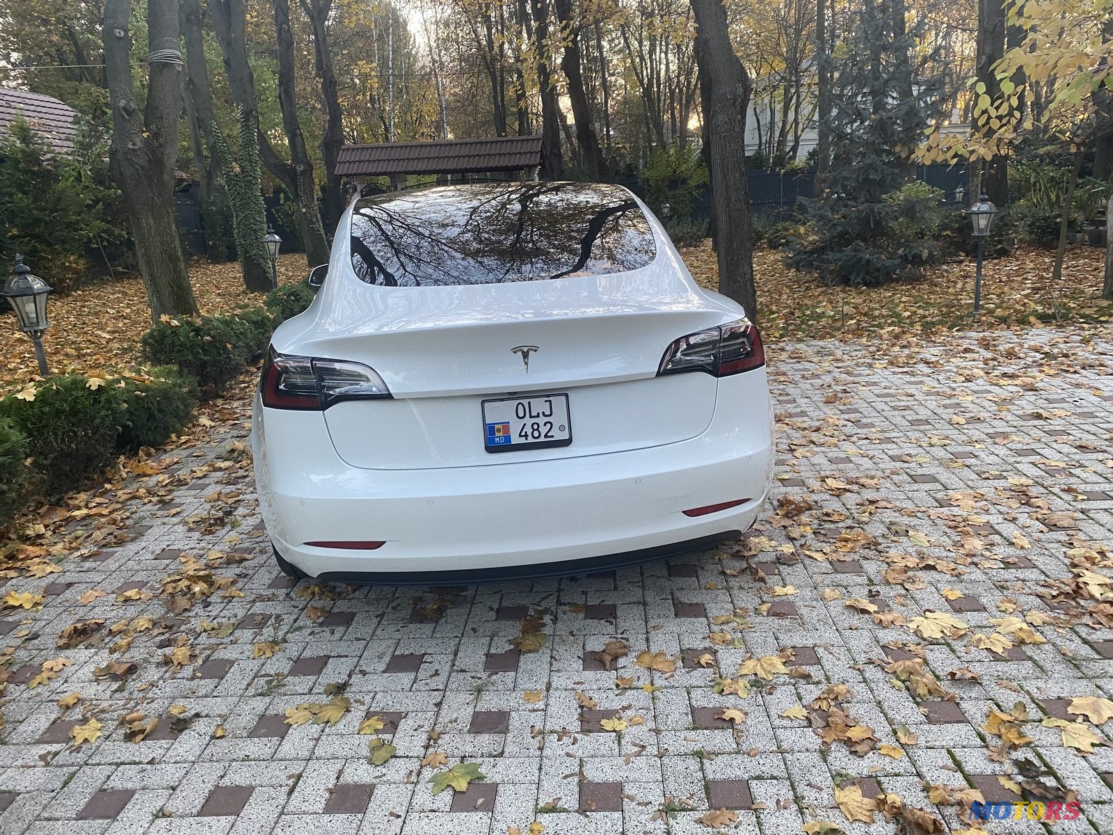 2019' Tesla Model 3 photo #2