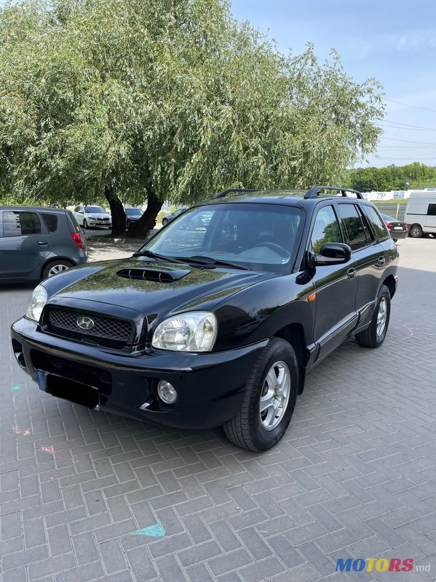 2004' Hyundai Santa Fe photo #2