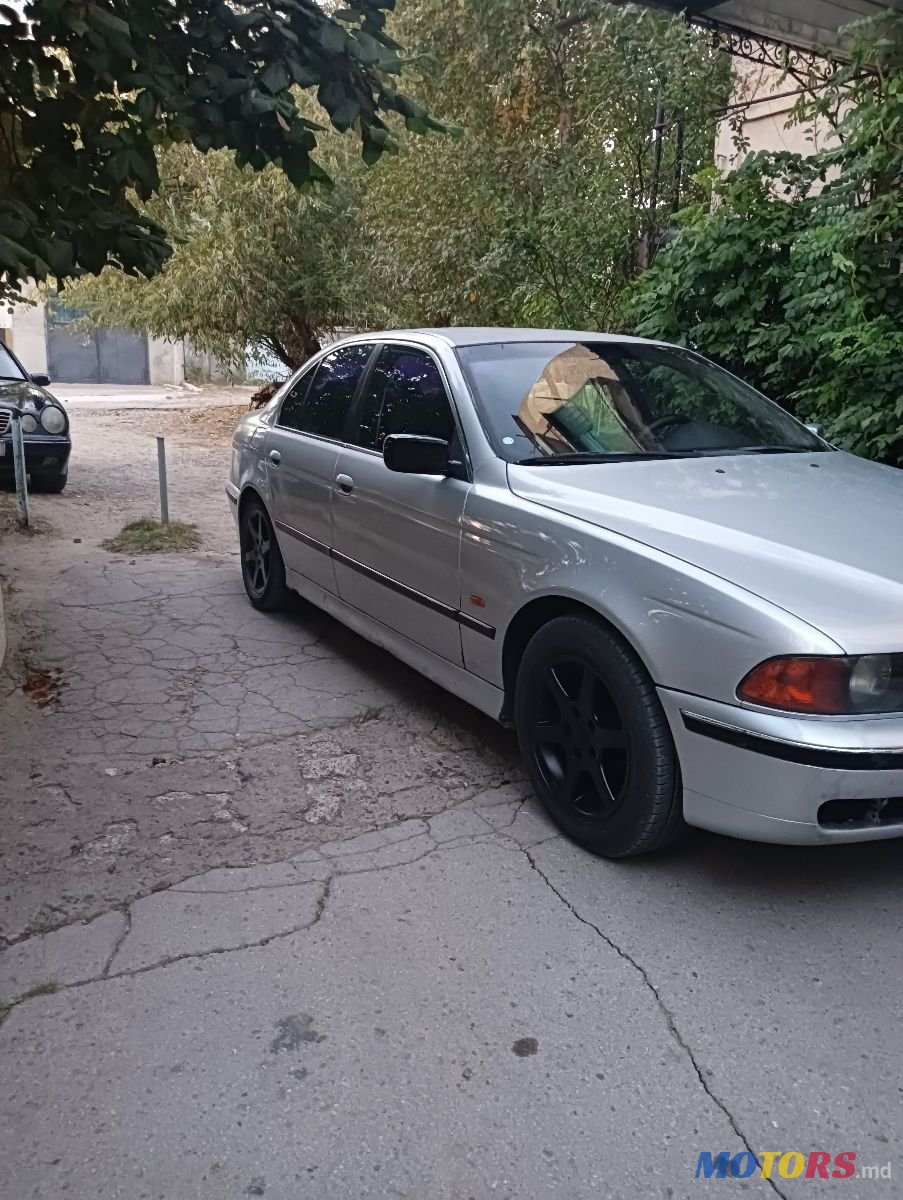 1998' BMW 5 Series photo #4