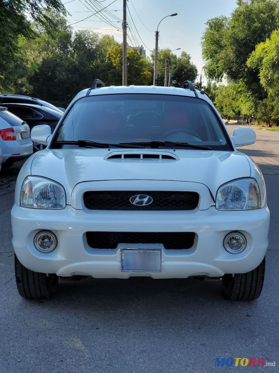 2003' Hyundai Santa Fe photo #6