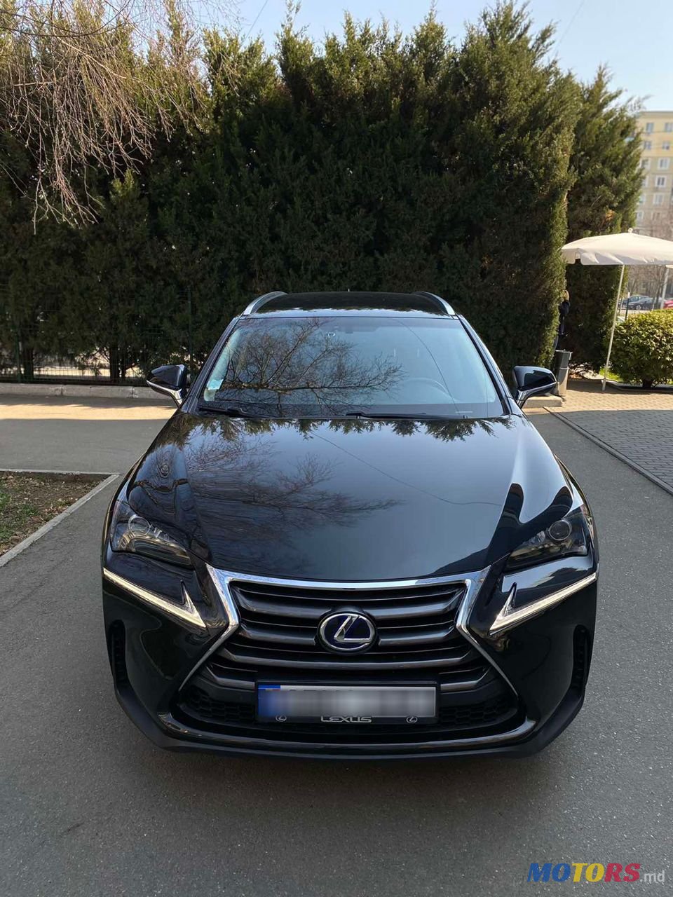 2015' Lexus Nx Series photo #2