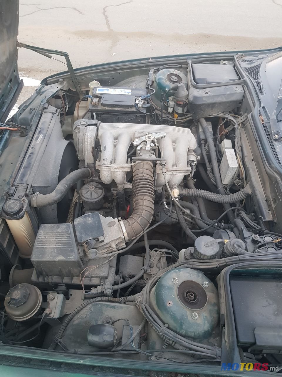 1992' BMW 5 Series photo #6