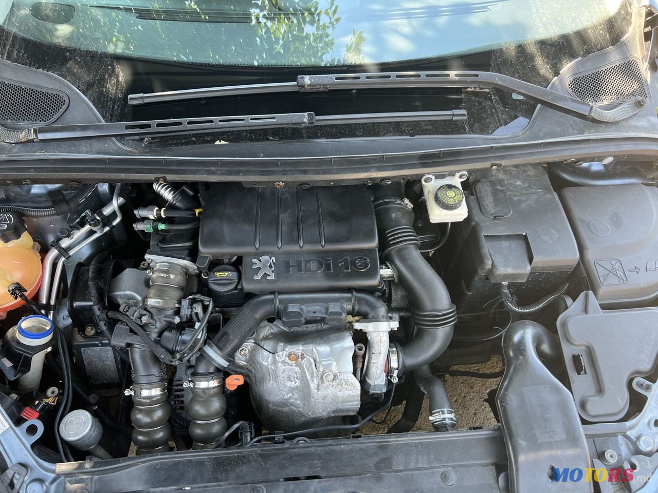 2006' Peugeot 307 photo #4