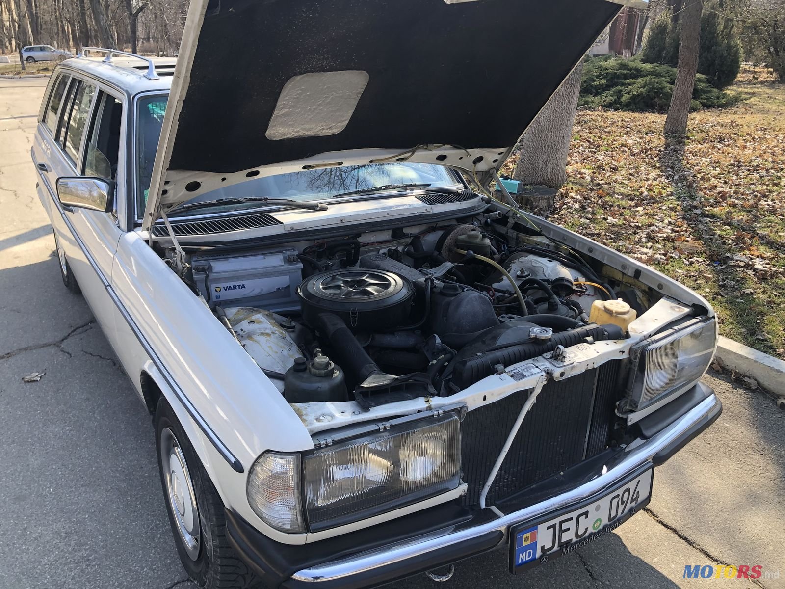 1985' Mercedes-Benz 300D S123 photo #4