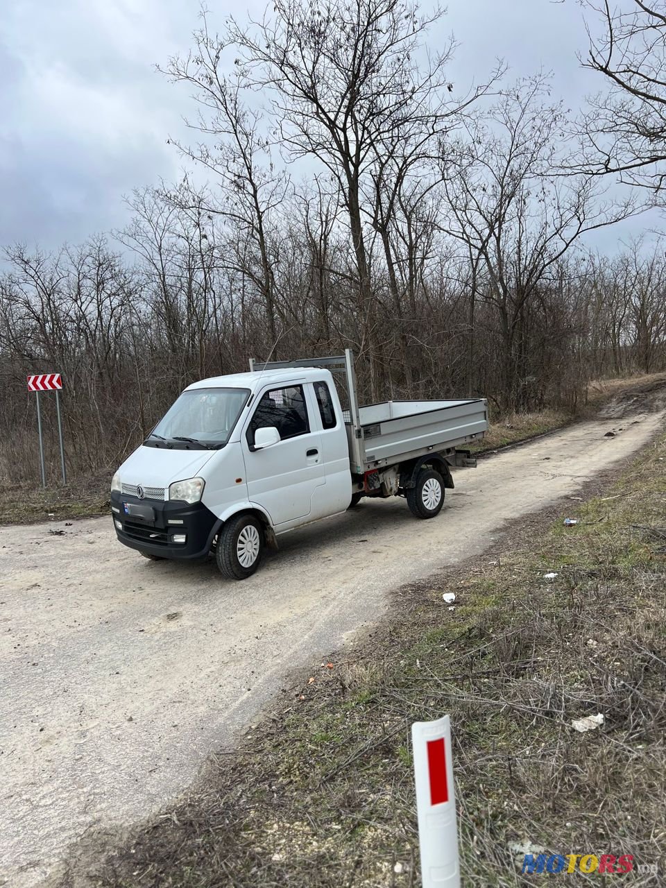 2017' Dongfeng Skio Er30 photo #5