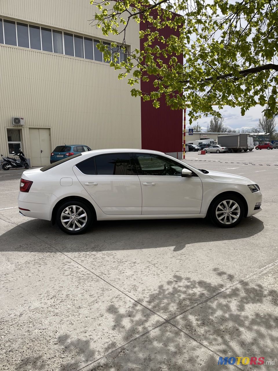 2017' Skoda Octavia photo #3