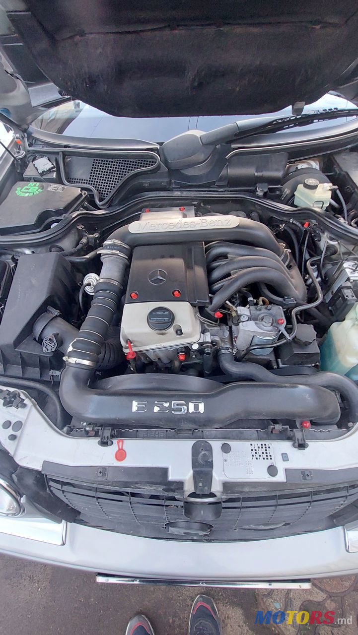 1999' Mercedes-Benz E Класс photo #5