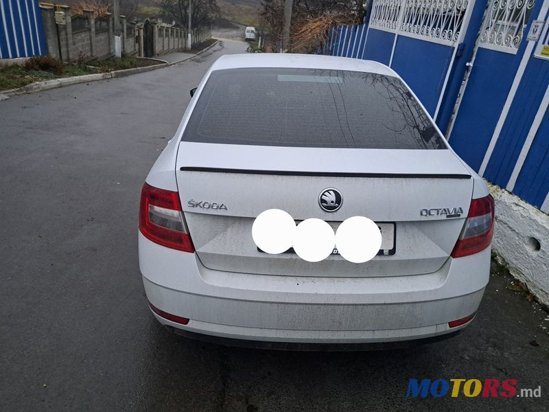 2019' Skoda Octavia photo #2