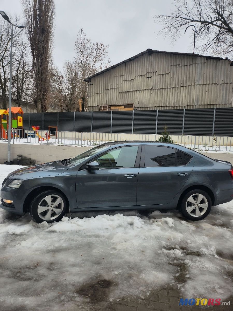 2017' Skoda Octavia photo #5