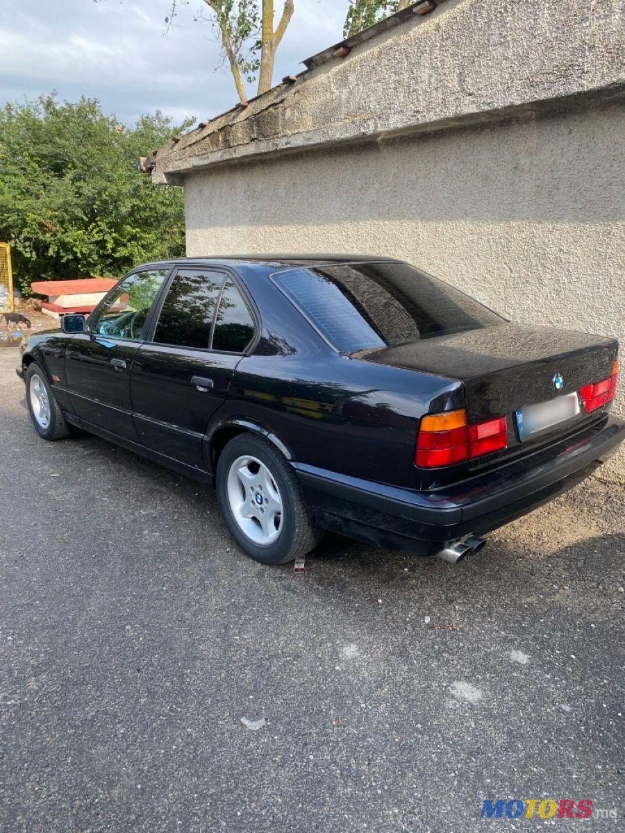 1995' BMW 5 Series photo #2