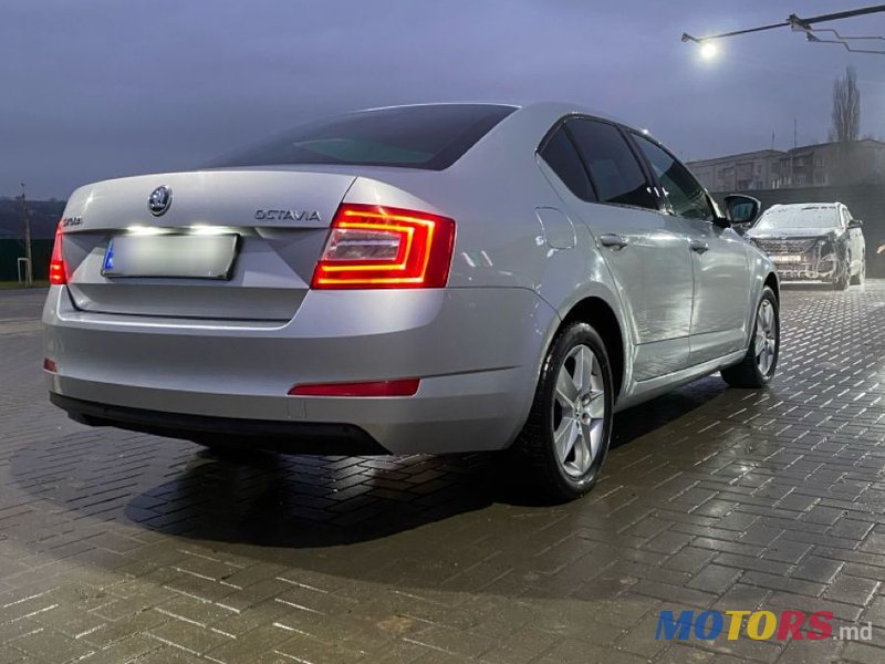 2013' Skoda Octavia photo #4