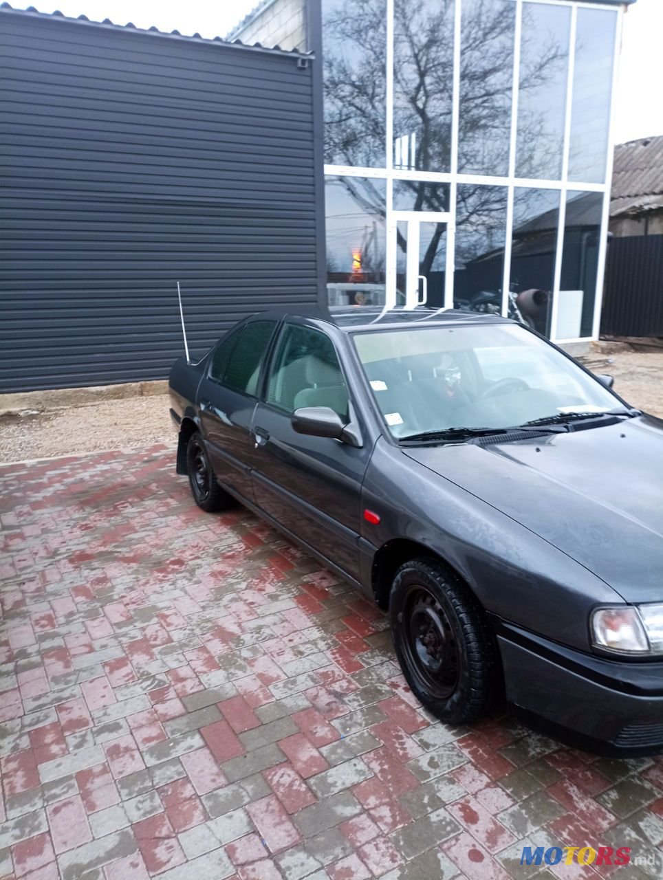 1996' Nissan Primera photo #4