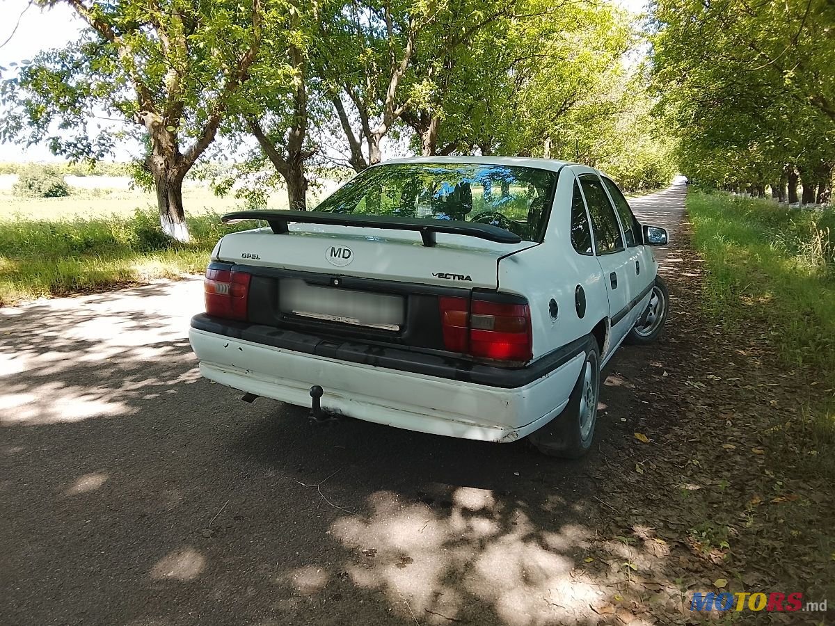 1995' Opel Vectra photo #2