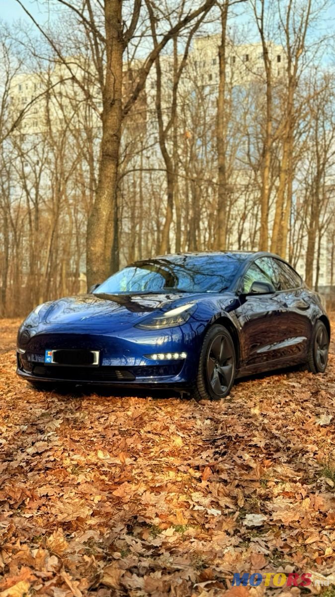 2020' Tesla Model 3 photo #5
